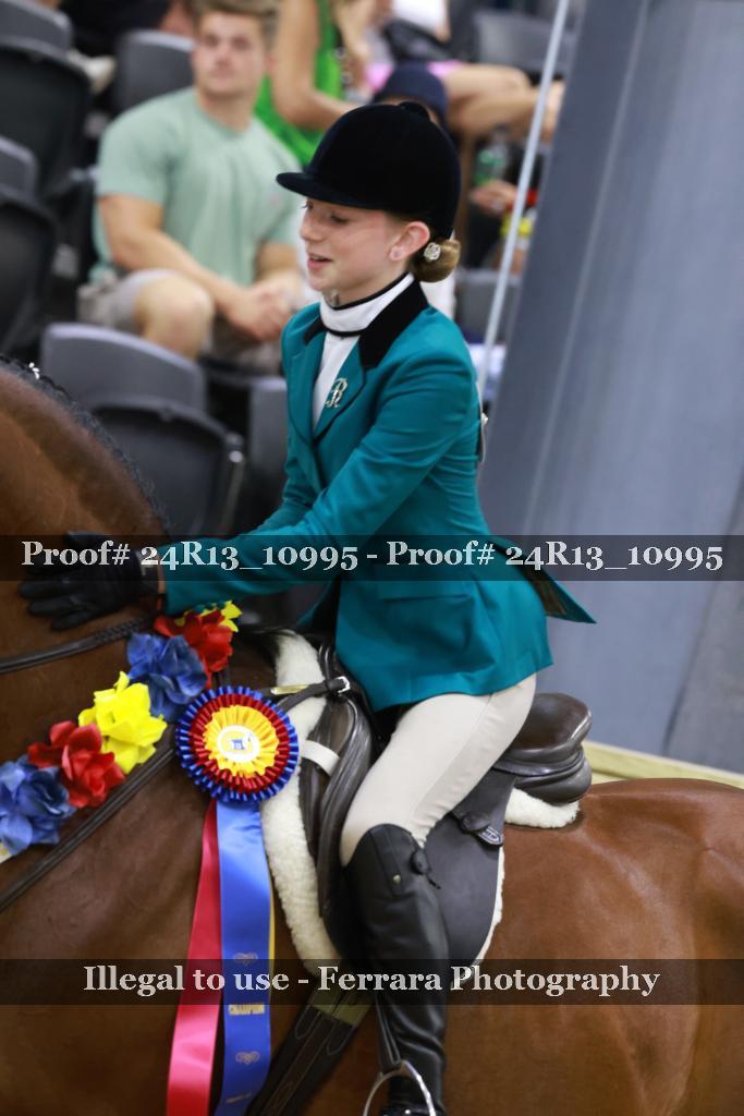 Proof 24R13_10995