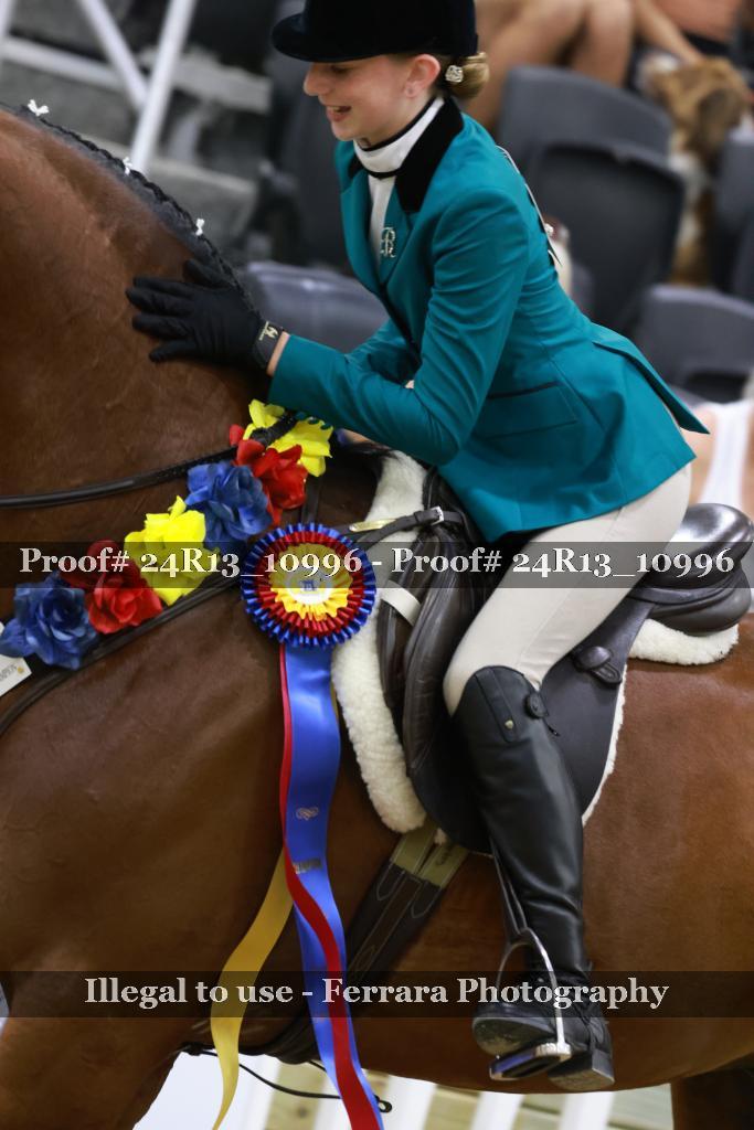 Proof 24R13_10996