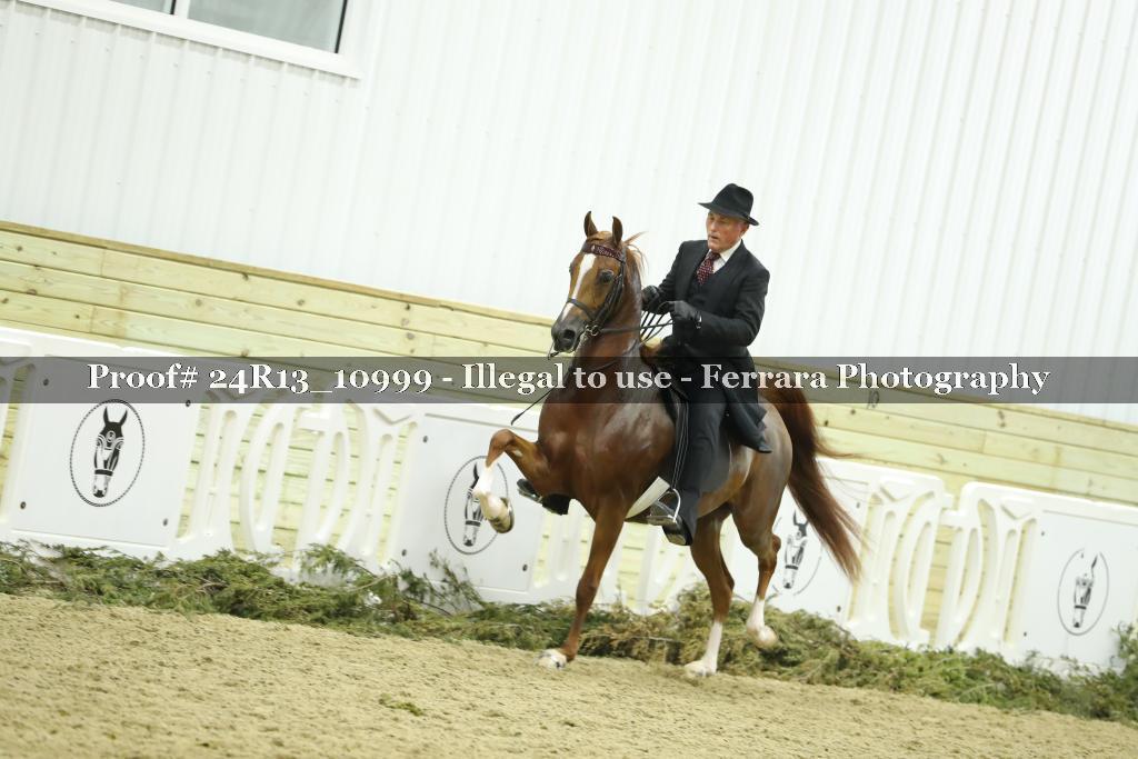 Proof 24R13_10999