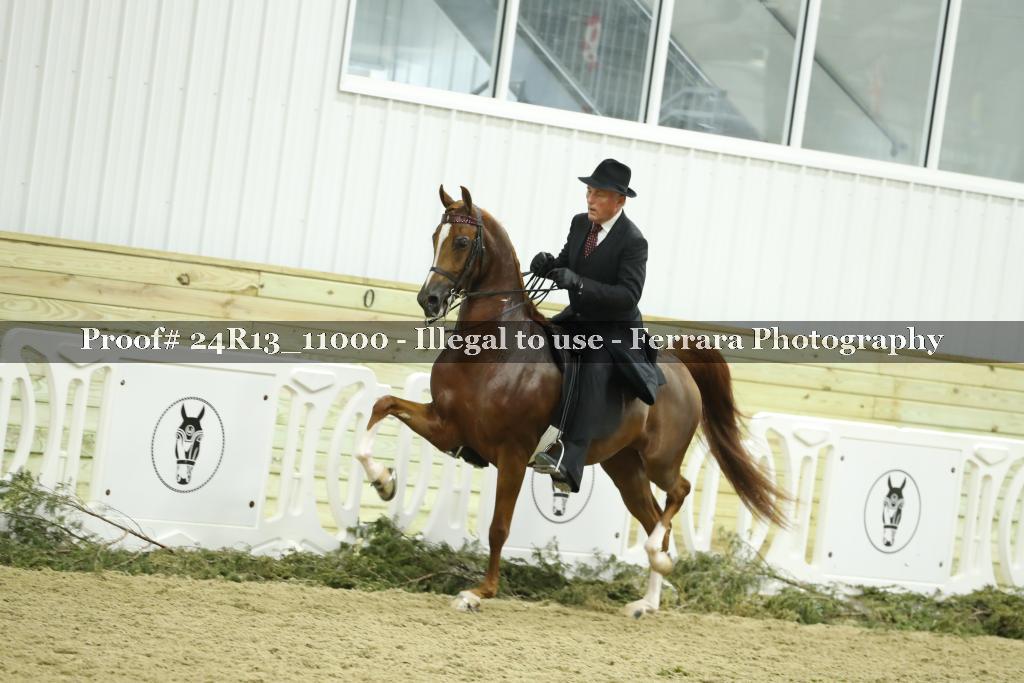 Proof 24R13_11000