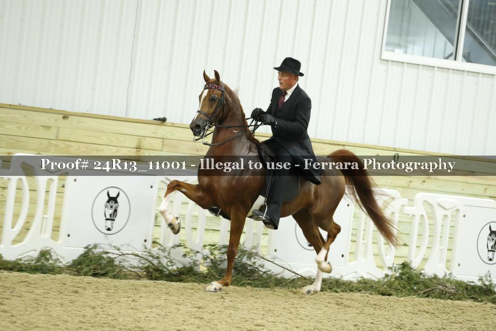 Proof 24R13_11001