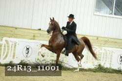24R13_11001 proof