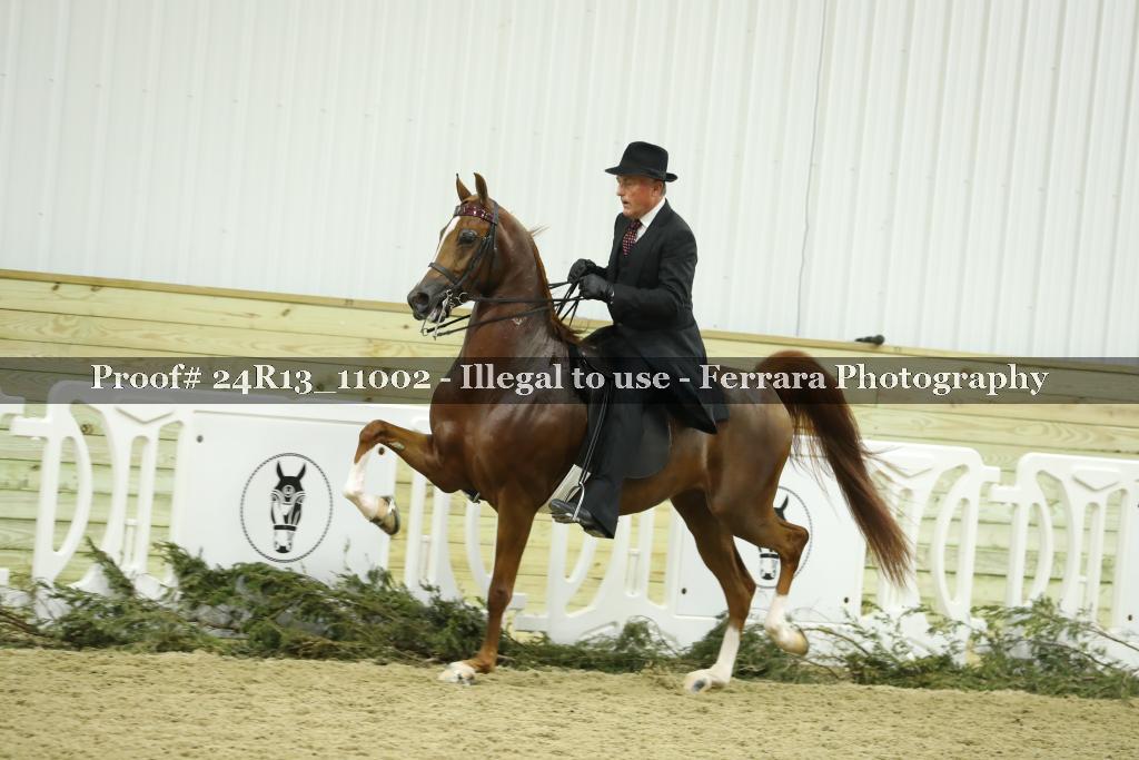 Proof 24R13_11002