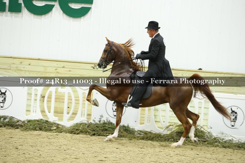 Proof 24R13_11003