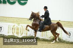 24R13_11003 proof