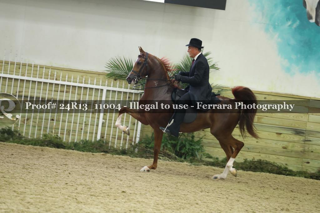 Proof 24R13_11004