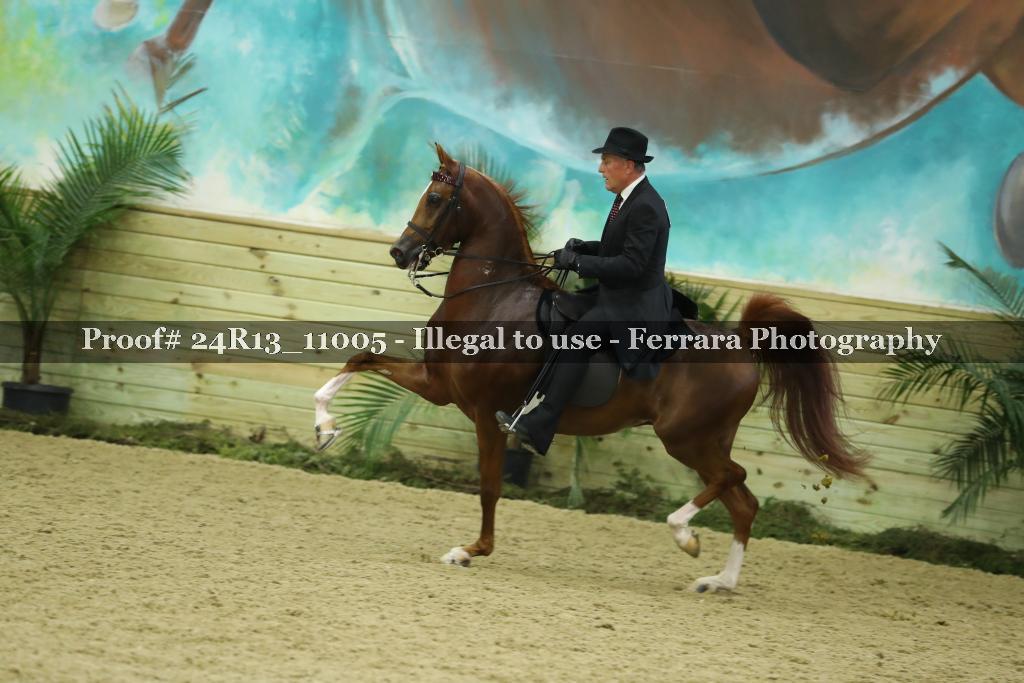 Proof 24R13_11005
