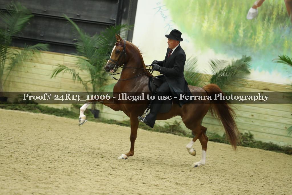 Proof 24R13_11006