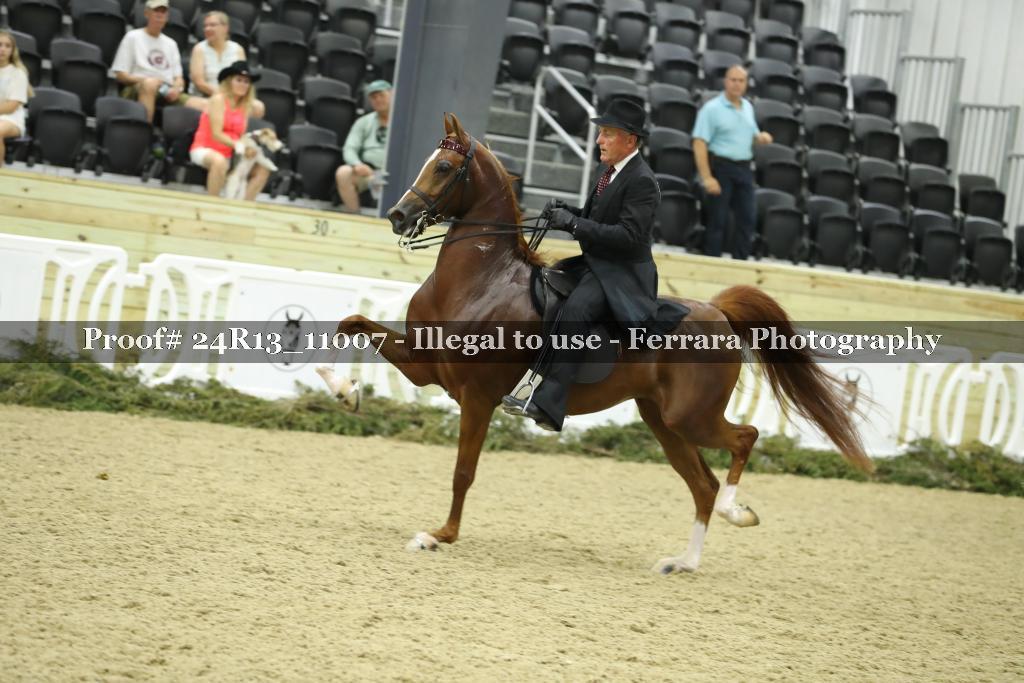 Proof 24R13_11007