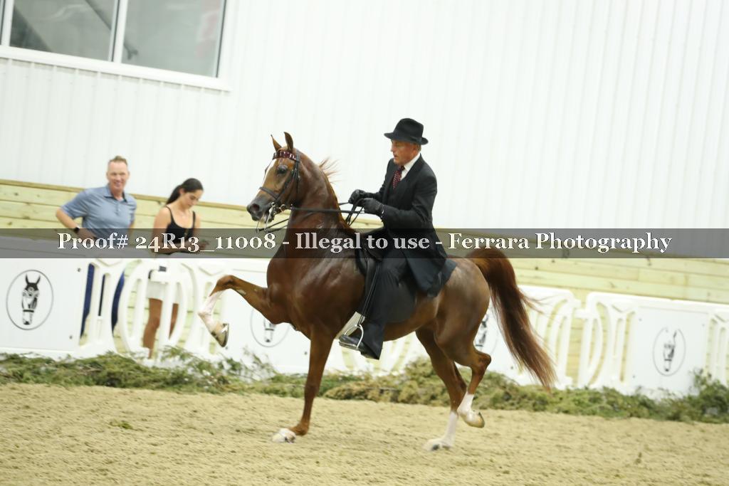 Proof 24R13_11008
