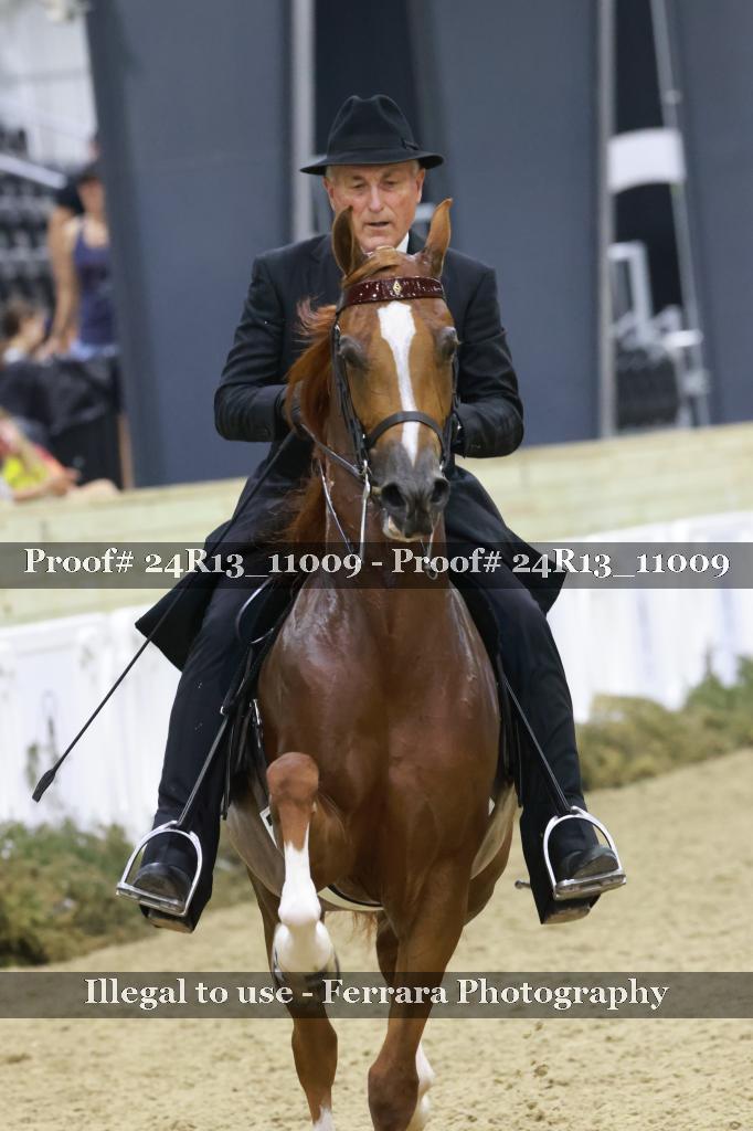 Proof 24R13_11009