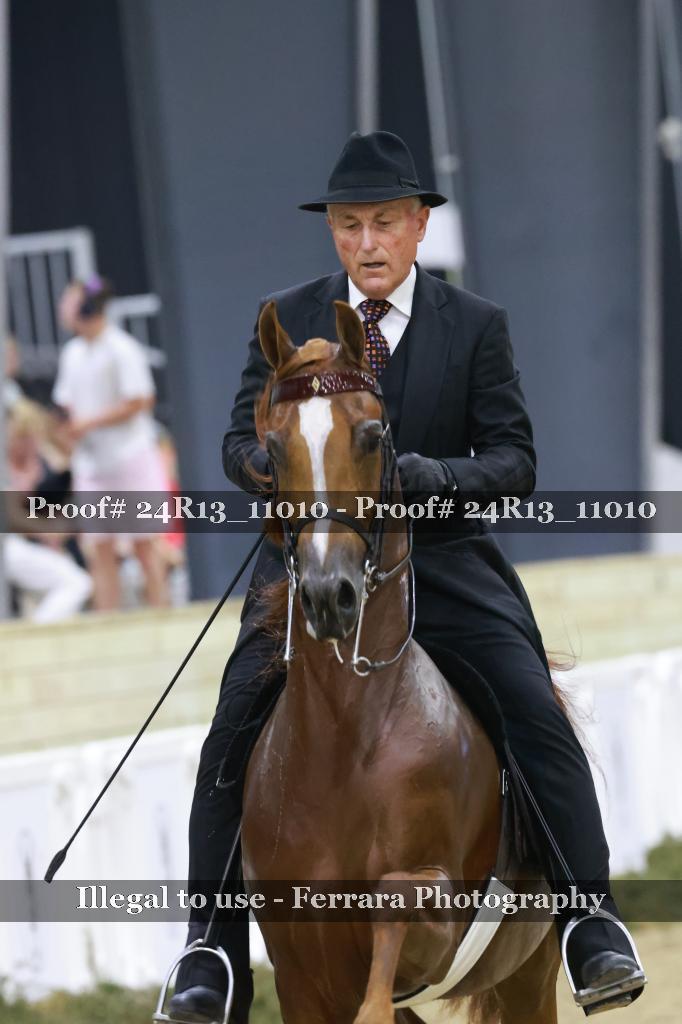 Proof 24R13_11010