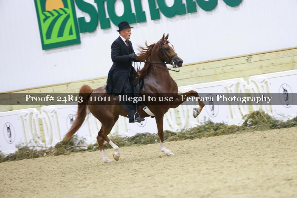 Proof 24R13_11011