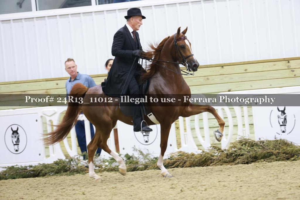 Proof 24R13_11012