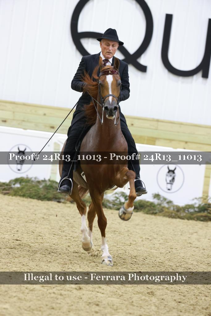 Proof 24R13_11013