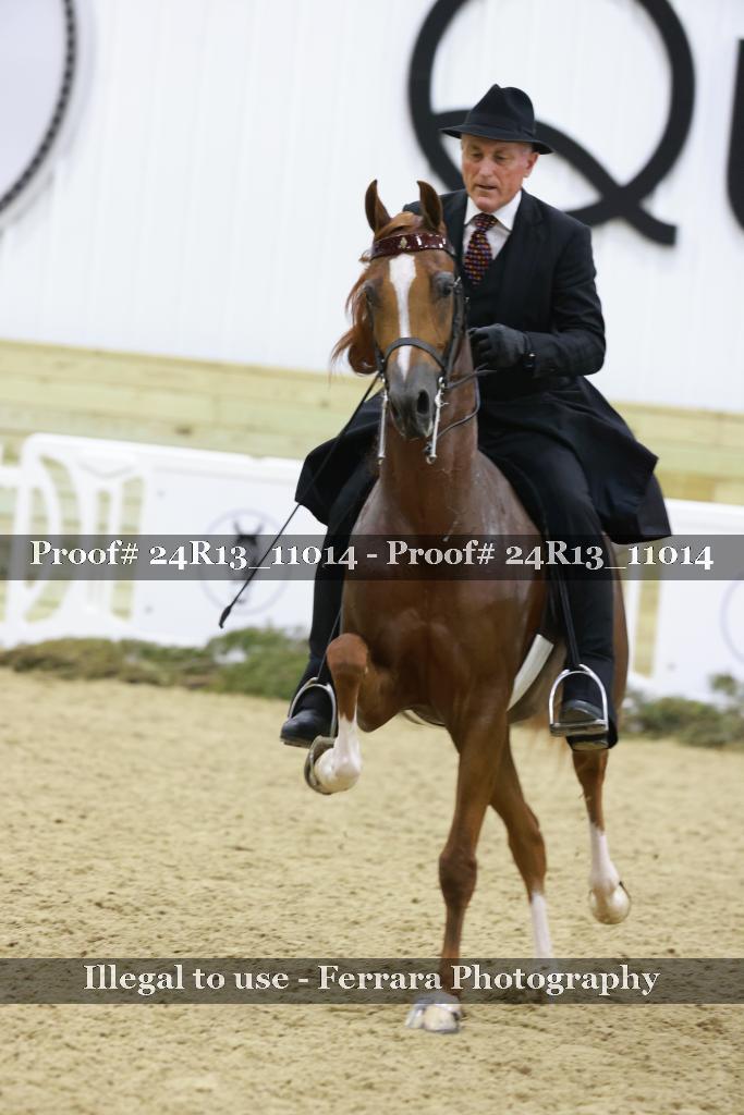 Proof 24R13_11014