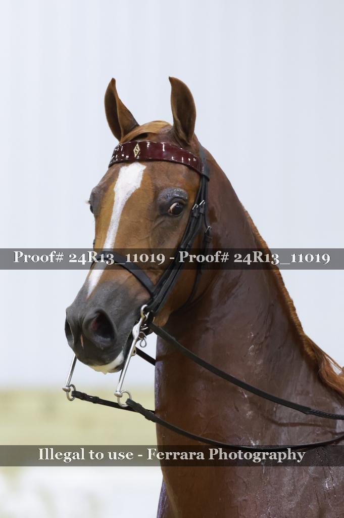 Proof 24R13_11019
