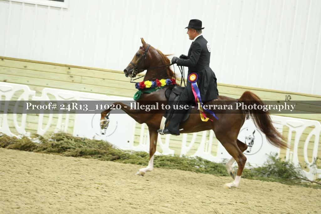 Proof 24R13_11020