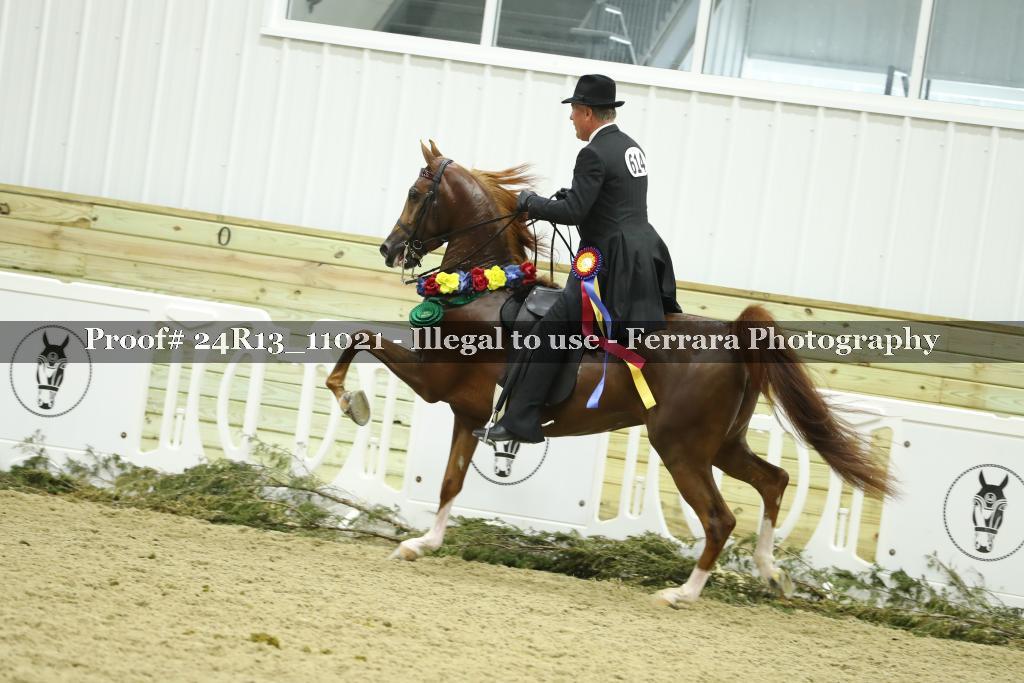 Proof 24R13_11021