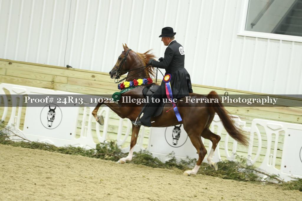 Proof 24R13_11022