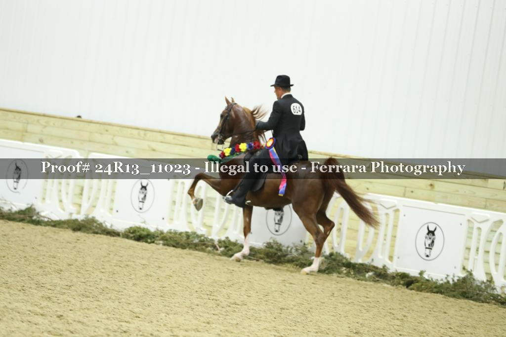 Proof 24R13_11023