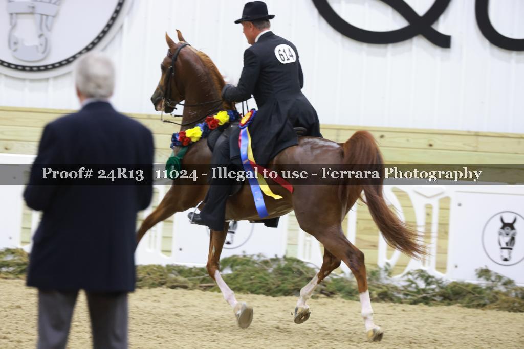 Proof 24R13_11024