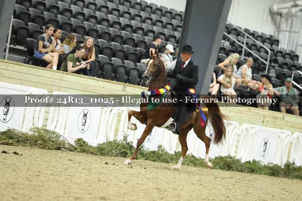 Proof 24R13_11025