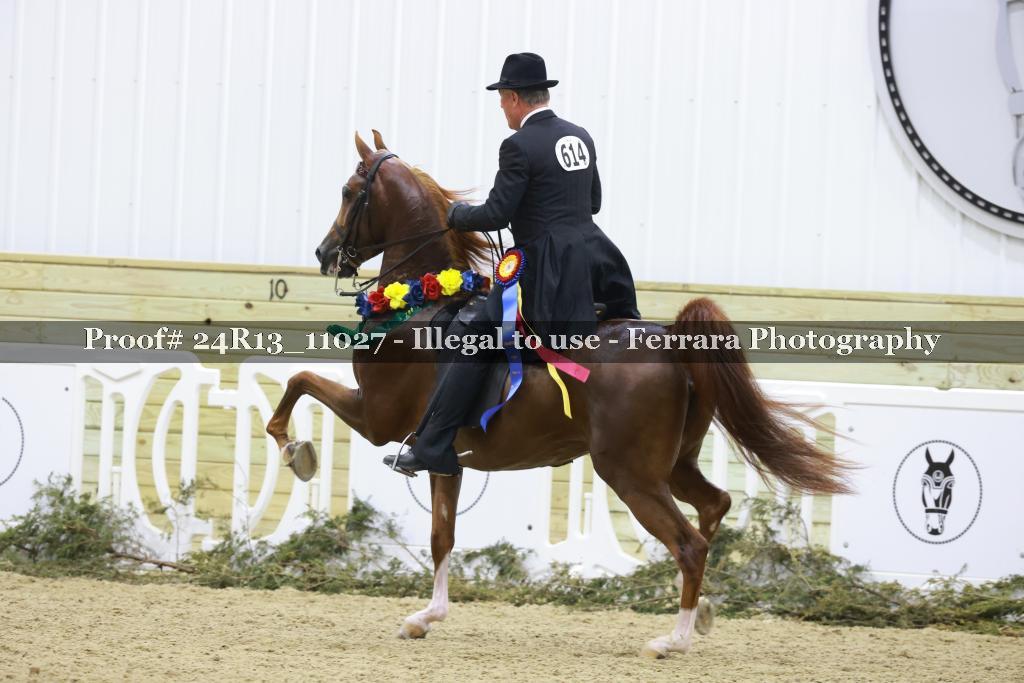 Proof 24R13_11027