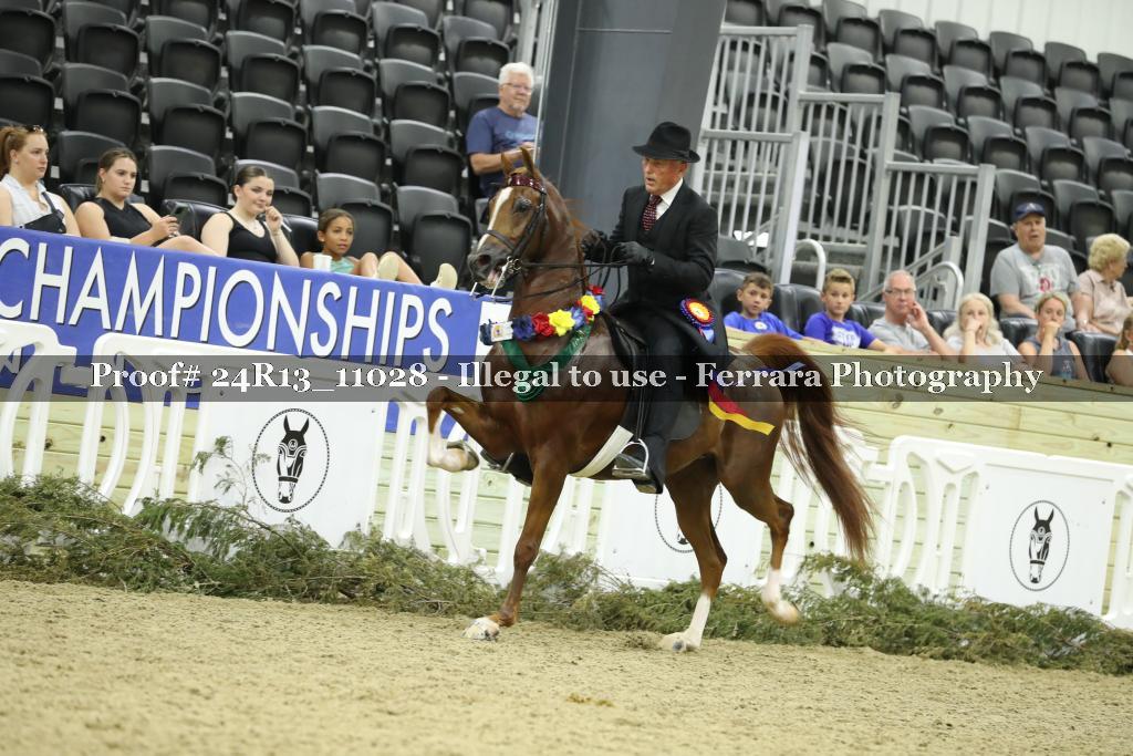 Proof 24R13_11028