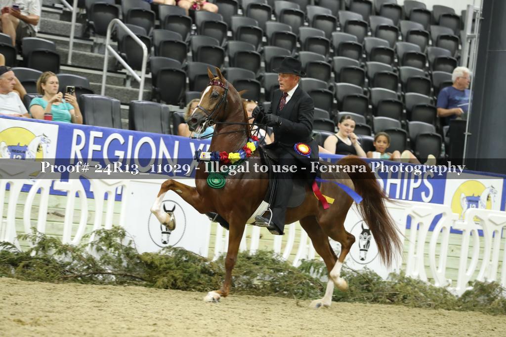 Proof 24R13_11029