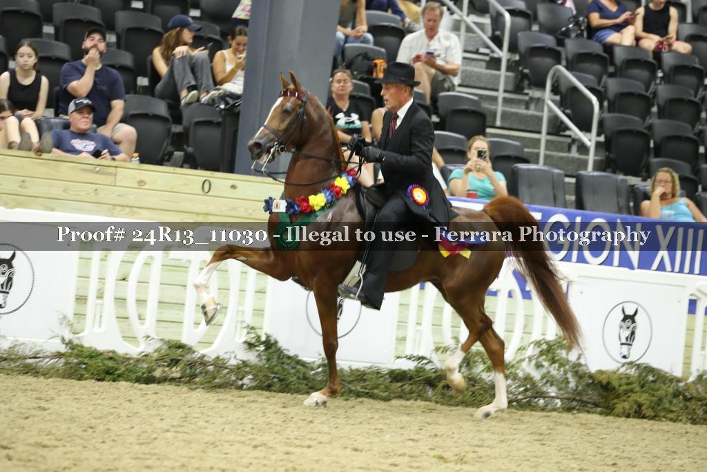 Proof 24R13_11030