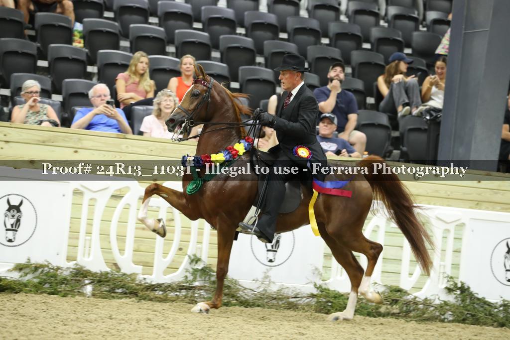 Proof 24R13_11031