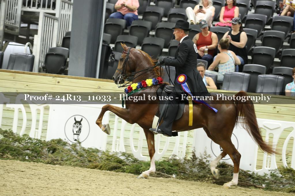 Proof 24R13_11033