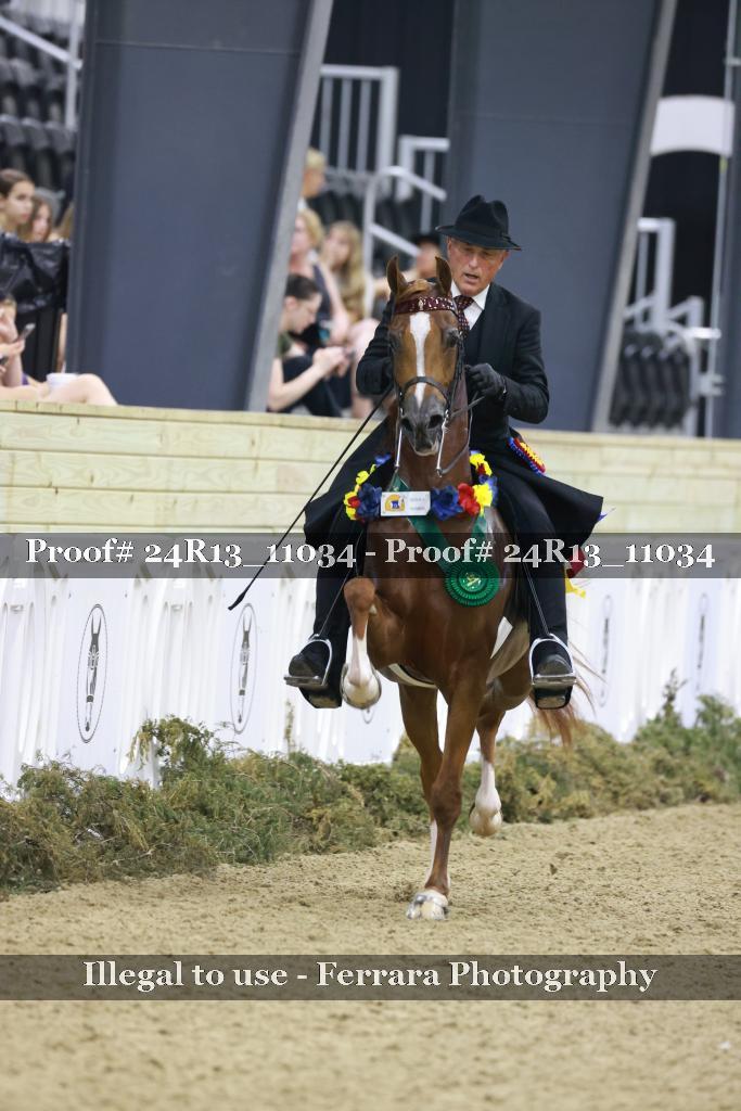 Proof 24R13_11034