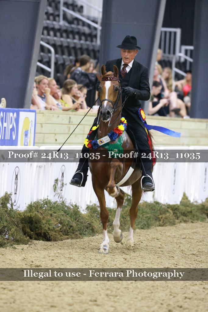 Proof 24R13_11035