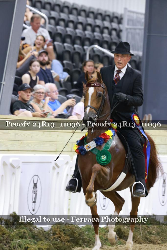 Proof 24R13_11036