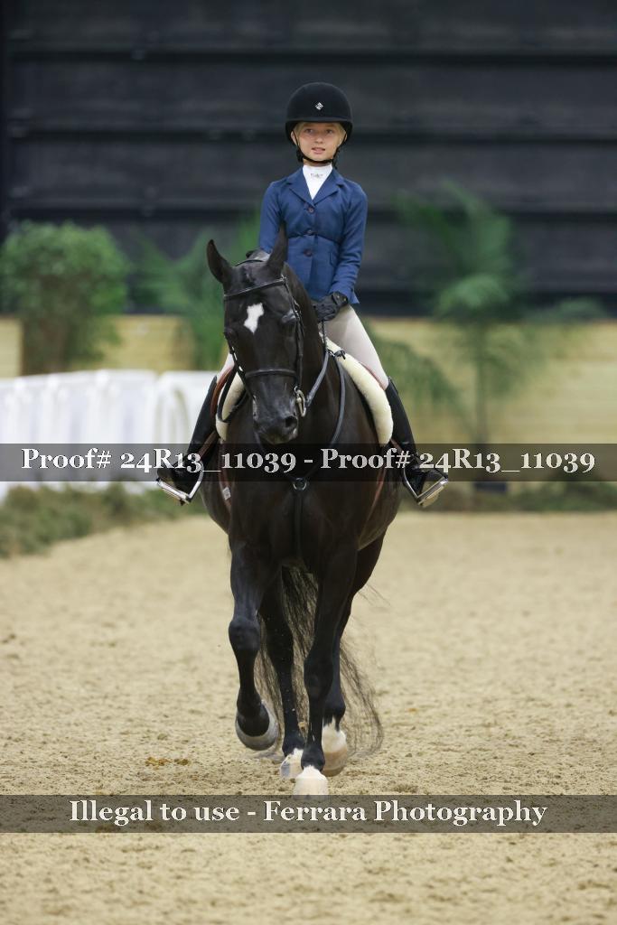 Proof 24R13_11039