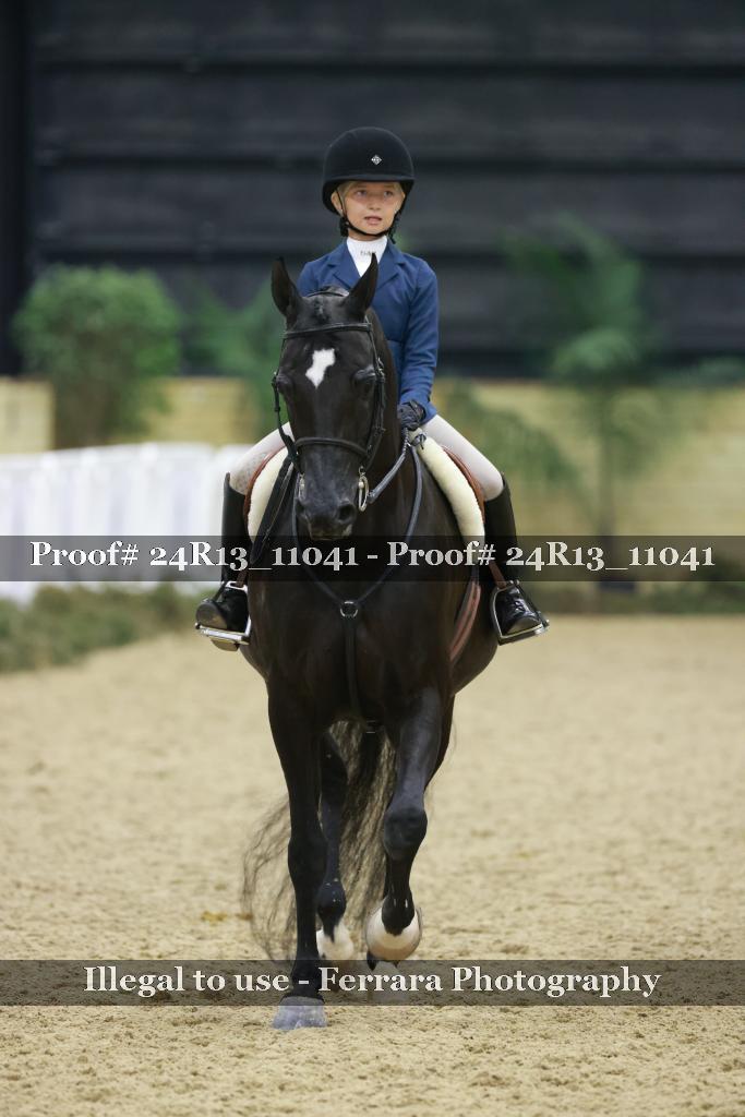 Proof 24R13_11041