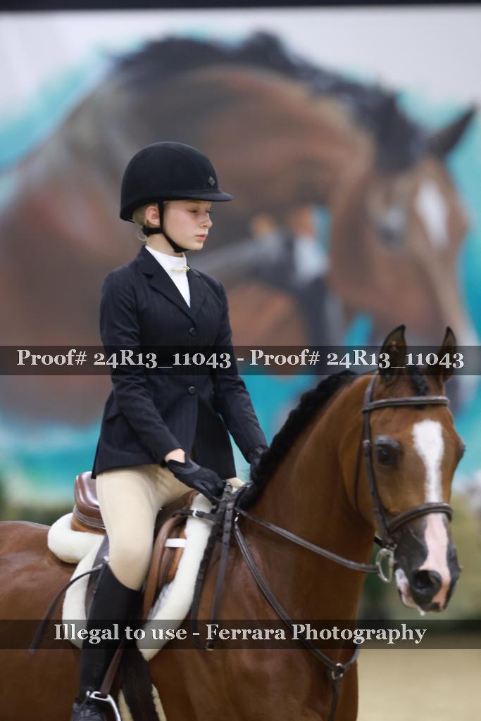 Proof 24R13_11043