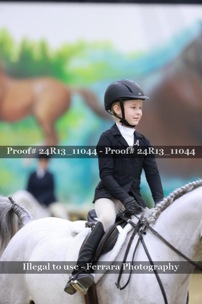 Proof 24R13_11044