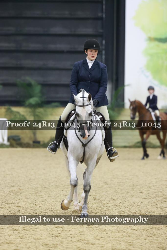Proof 24R13_11045