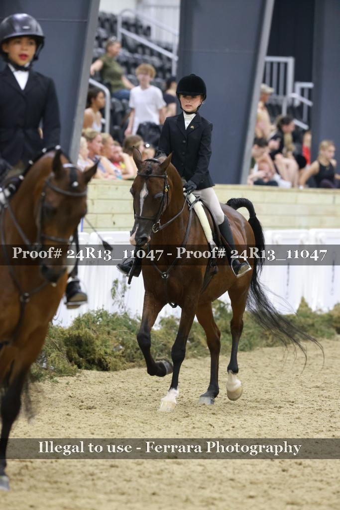 Proof 24R13_11047
