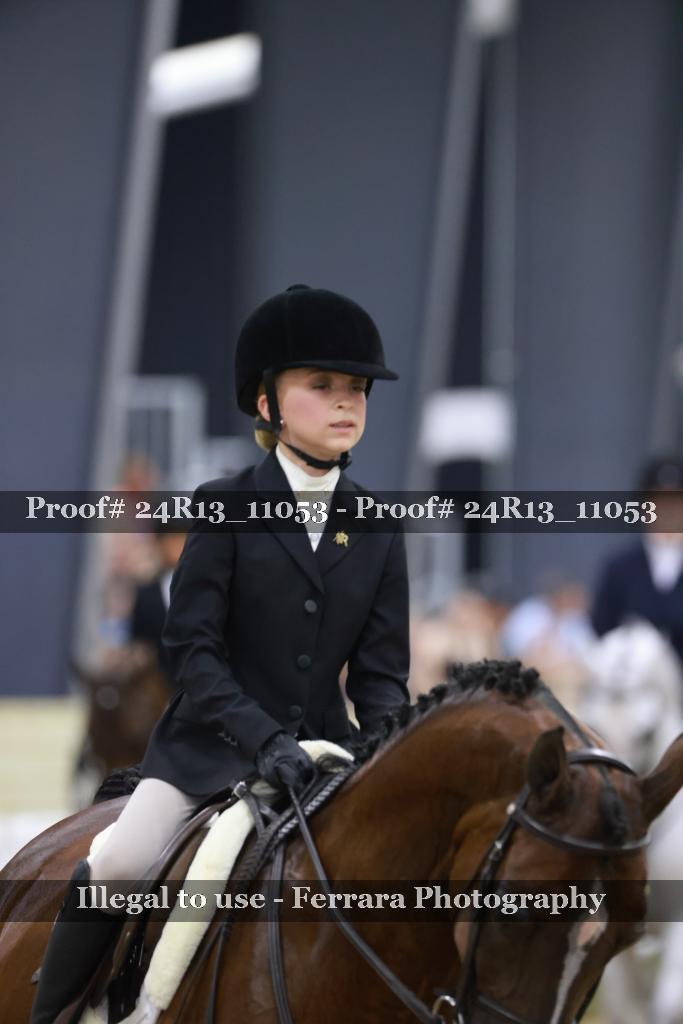 Proof 24R13_11053