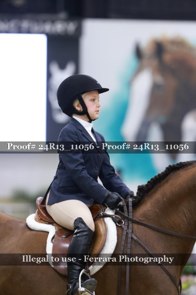 Proof 24R13_11056