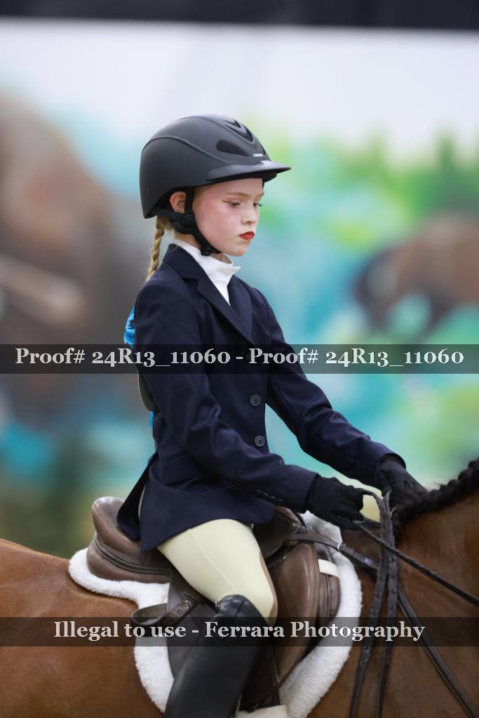 Proof 24R13_11060