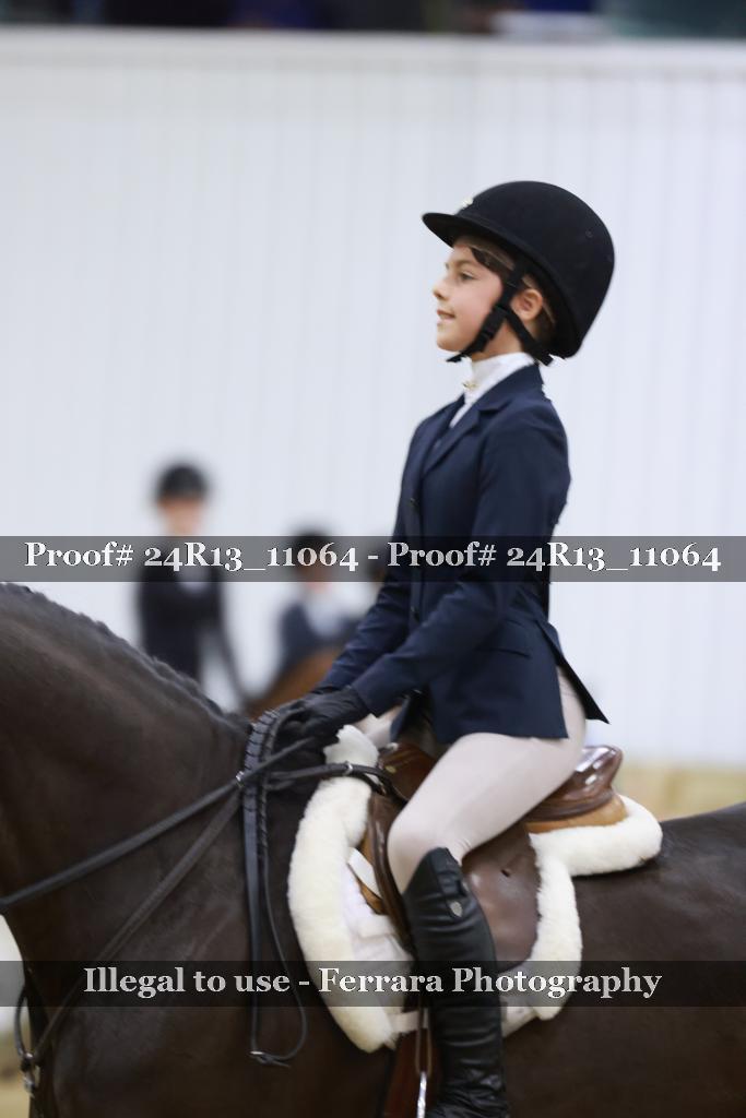 Proof 24R13_11064