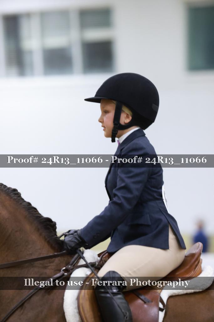 Proof 24R13_11066