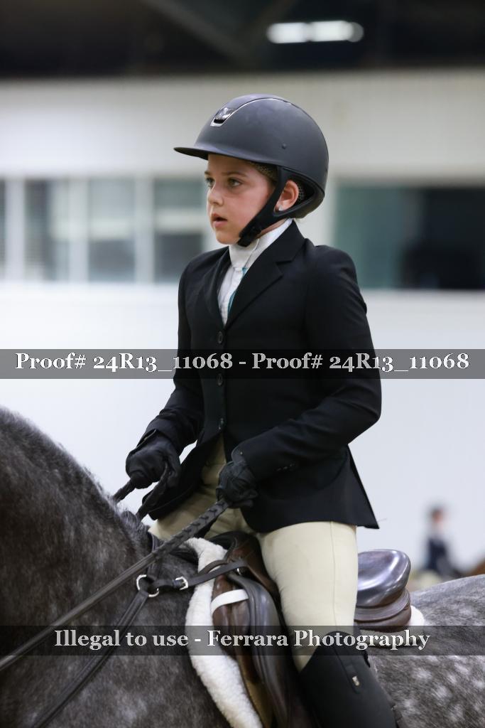 Proof 24R13_11068