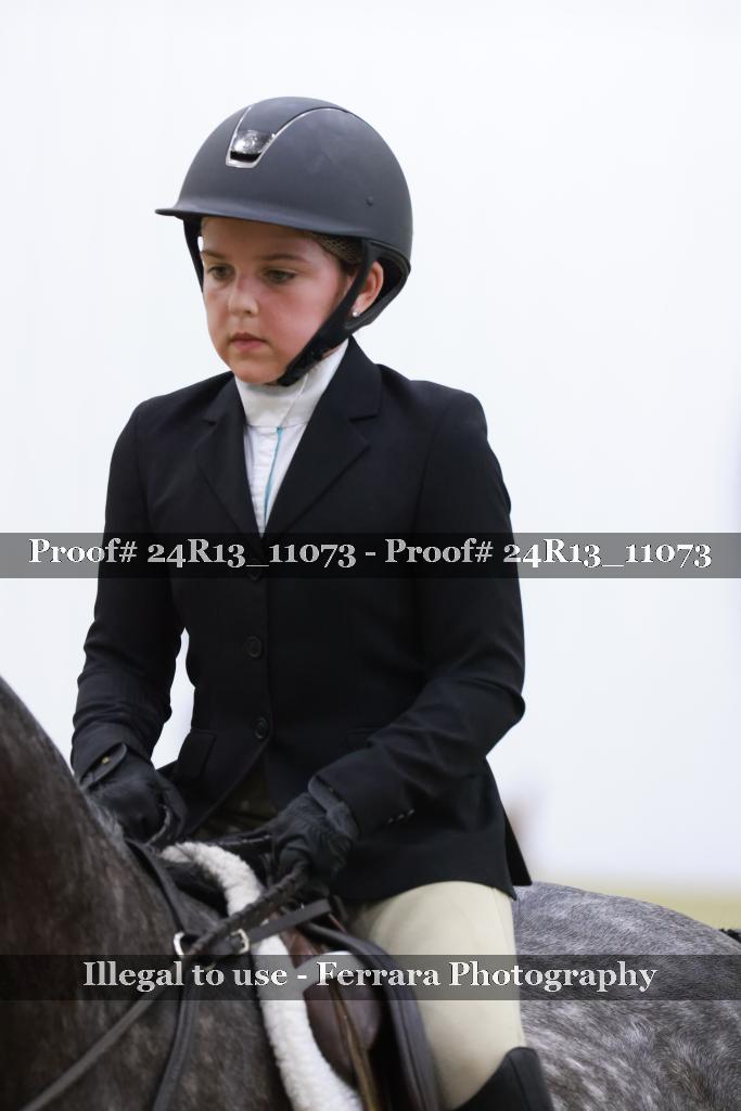 Proof 24R13_11073