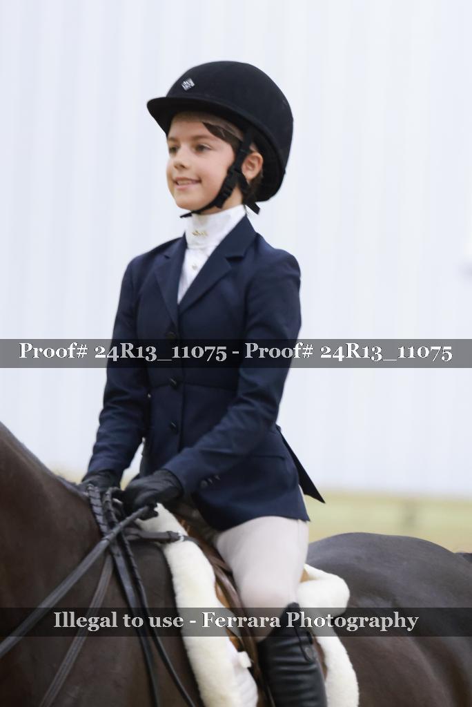Proof 24R13_11075